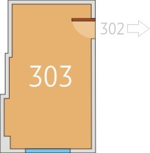 Cristiana Brasov - Birou 303